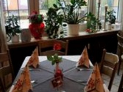 Foto: Mops-Garten Drensteinfurt