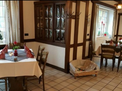 Foto: Mops-Garten Drensteinfurt