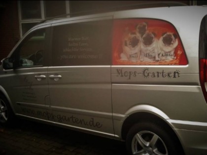 Foto: Mops-Garten Drensteinfurt
